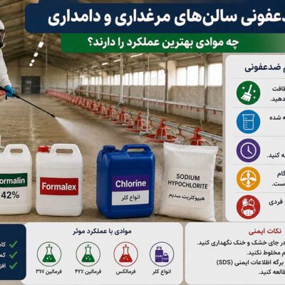 ضدعفونی سالن‌های مرغداری و دامداری؛ چه موادی بهترین عملکرد را دارند؟