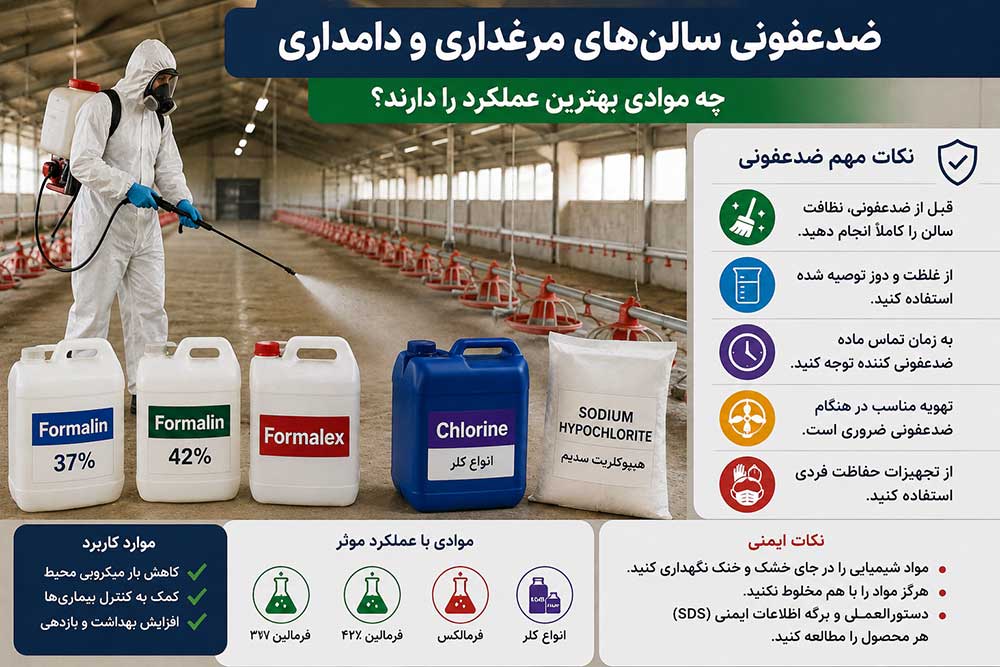 ضدعفونی سالن‌های مرغداری و دامداری؛ چه موادی بهترین عملکرد را دارند؟