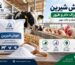 جوش شیرین در خوراک دام و طیور چه کاربردی دارد؟