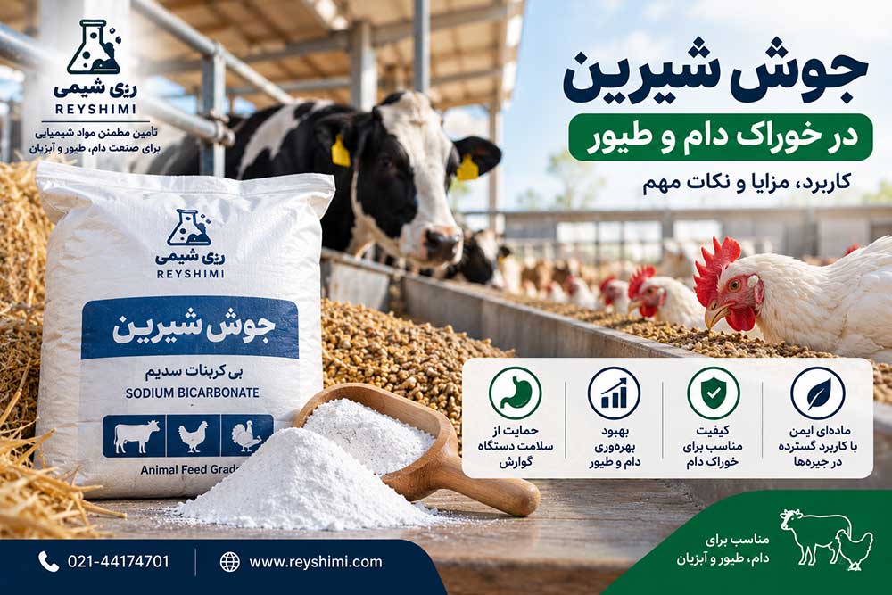 جوش شیرین در خوراک دام و طیور چه کاربردی دارد؟